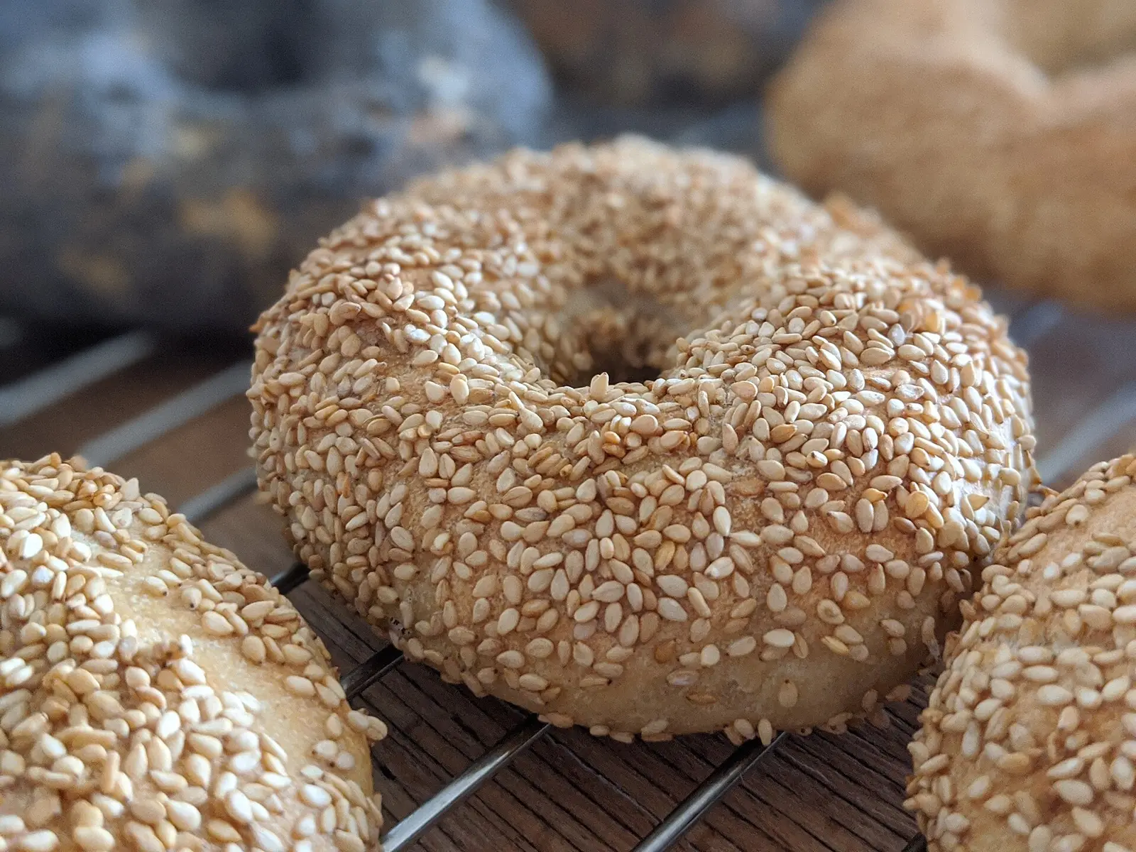 A sesame bagel. The photo was not taken at a Brookhaven restaurant.