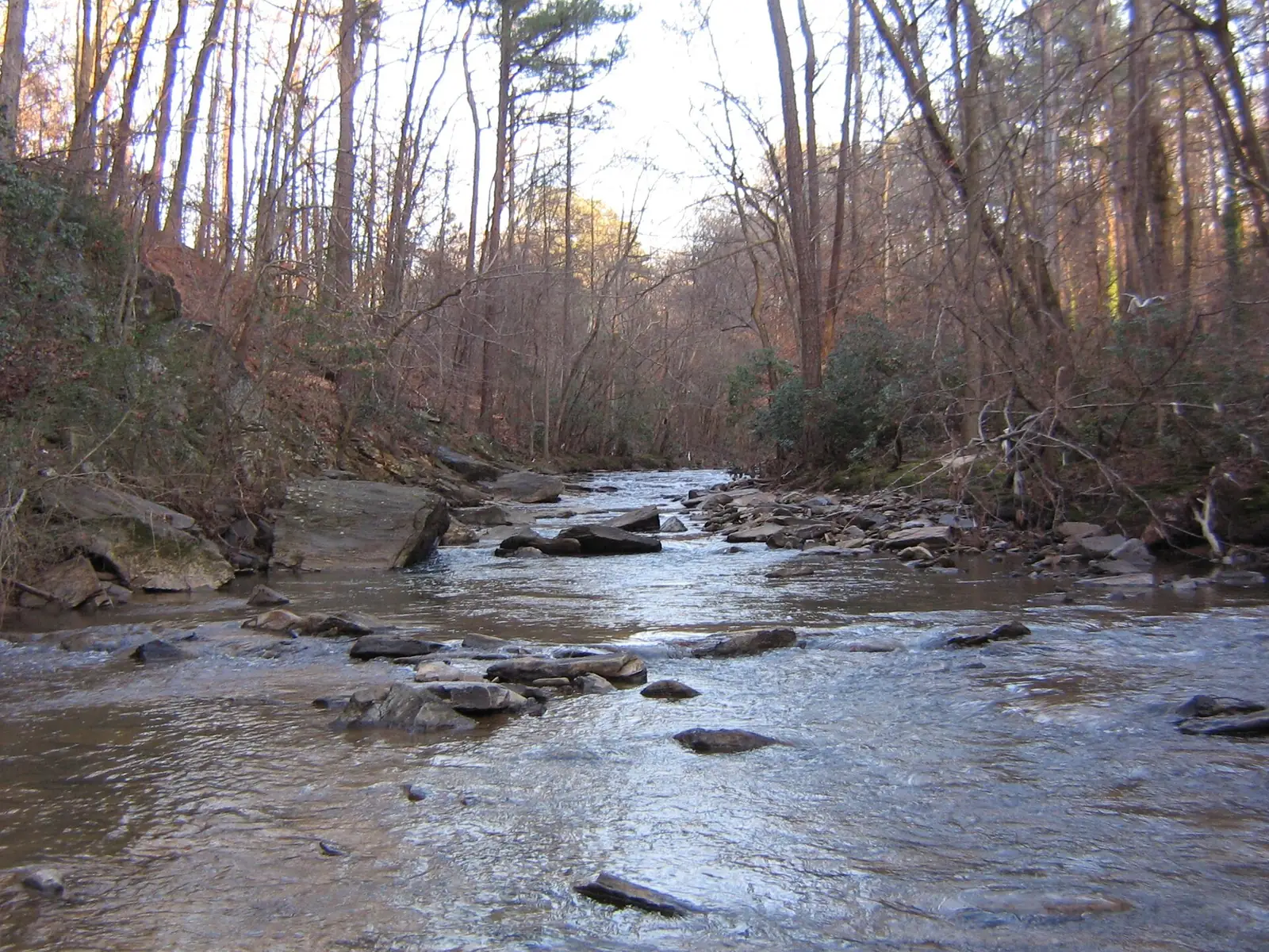 Nancy Creek running through the woods beside Murphey Candler Park