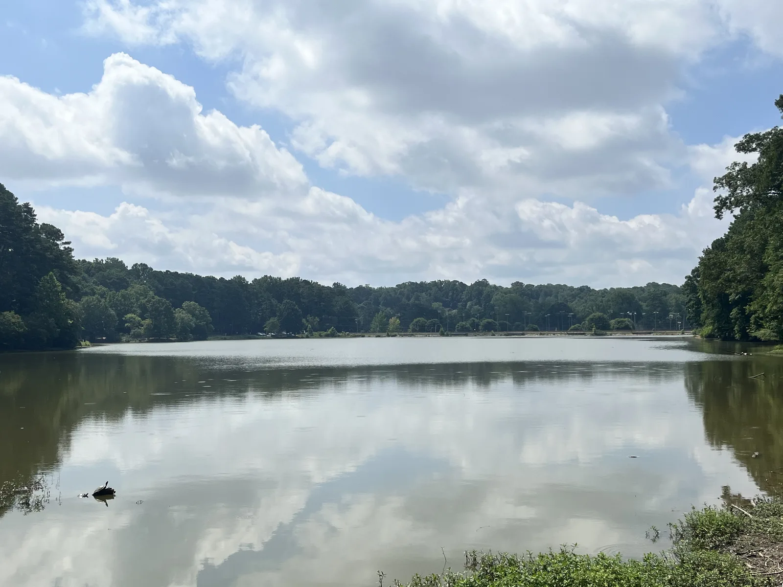 Murphey Candler Lake in Murphey Candler Park, where the Hot Pursuit 5K Glow Run starts and finishes