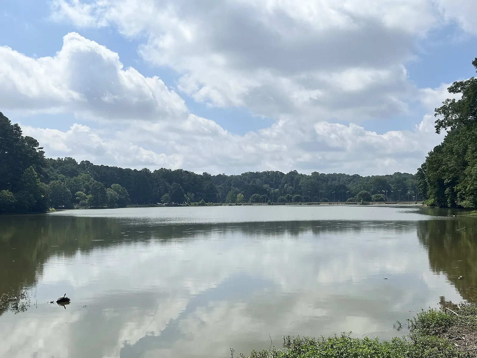 Murphey Candler Lake in Murphey Candler Park, about half a mile from Montgomery Elementary